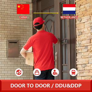 Китайский агент доставки, предоставляющий услуги DDP по морю LCL + Экспресс из Китая в Нидерланды - Product Image 4