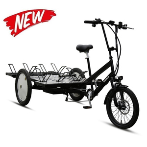 Vélo de livraison à cadre en acier efficace, 7 vitesses, batterie au lithium 48V/20AH et plateforme plate, batterie haute capacité 20AH pour E TR03 - Product Image 1