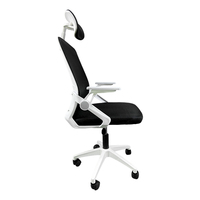 Chaise de Direction Ergonomique Orthopédique à Double Maille Certifiée BIFMA avec Support Lombaire, Service OEM/ODM pour Poste de Travail