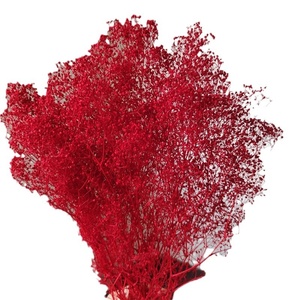 ดอกยิปโซฟิลลา (ดอกยิปโซ) แห้ง ประดิษฐ์ด้วยมือ สวยงาม น้ำหนัก 50 กรัม สำหรับตกแต่งโต๊ะยาว งานวันขอบคุณพระเจ้า และตกแต่งบ้าน ลดราคาจากโรงงาน - Product Image 5