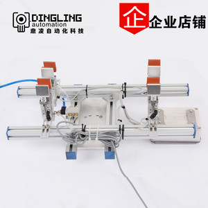 Pinces robotiques sur mesure non standard, robots industriels, solutions d'automatisation non standard, Kunshan Dingling Automation - Product Image 5