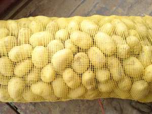 Новый сезон свежий картофель Размер 100 г + Китайская поставка - Product Image 5