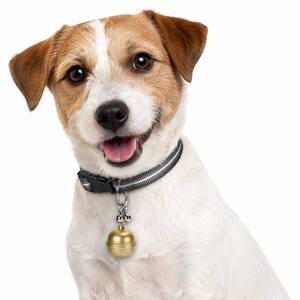Rastreador GPS GSM para Mascotas <span class=keywords><strong>Topin</strong></span> G15, Collar Impermeable IP67 con Rastreo en Tiempo Real, Antipérdida, Compatible con Android e iOS para Perros y Gatos - Product Image 4