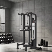 Barre de traction assistée / Barre de dips – Équipement de fitness en acier pour l'entraînement de la force du haut du corps et la progression des tractions