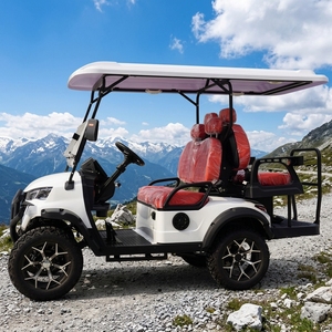 Carrito de Golf Elevado de 4 Plazas con Motor de Litio de 60V y CA, Alta Capacidad de Subida, Certificado CE, Personalizado, de 4 Ruedas, para Caza - Product Image 2