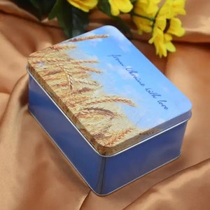 Boîte à biscuits <span class=keywords><strong>de</strong></span> blé en métal <span class=keywords><strong>de</strong></span> forme rectangulaire emballage <span class=keywords><strong>de</strong></span> biscuits en étain - Product Image 3