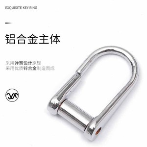 Porte-clés en alliage de zinc avec anneau en D, accessoire pour clés de voiture, boucle en métal chromé, usage domestique - Product Image 1