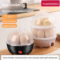 Cuiseur à œufs et cuiseur vapeur multifonctionnel transfrontalier en acier inoxydable double couche, mini appareil de petit-déjeuner domestique