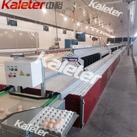 Système automatique de collecte des œufs de poule, poulailler, machine de collecte des œufs en métal, nid à œufs à roulettes, ramassage