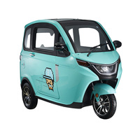 Voiture électrique à cabine fermée New Energy Mini fourgonnette de mobilité Tuk Tuk à trois roues pour personnes âgées sans batterie