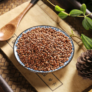 Graines de raphan sativus séchées sans soufre OEM, matière première végétale pour thé bien-être, extrait et usine alimentaire - Product Image 3