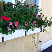 Supports de jardinière réglables en fer pour balustrade de terrasse, installation sans perçage sur fenêtre, durables pour le jardin