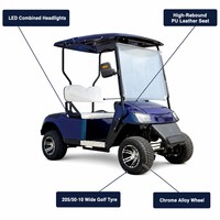Carrito de Golf Eléctrico de 4 Ruedas, 2 Asientos, Alta Velocidad, 35 km/h, 25% de Inclinación, para Campos de Golf, Resorts y Hoteles
