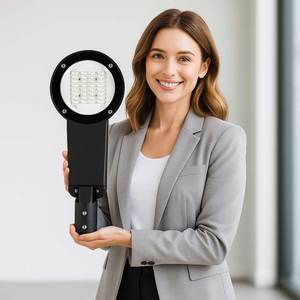 Lampe de rue LED à gradation progressive DALI 1-10V Midnight Step Dimming avec contrôle 4G NB-IoT - Product Image 1