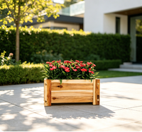Jardinière rectangulaire en bois de cèdre robuste, facile à assembler, potager surélevé portable pour fleurs, herbes et légumes de patio