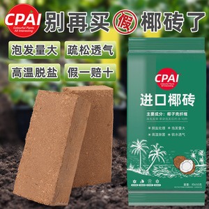 Ladrillo de Coco Cpai 650g, Partículas Medianas, Tierra para Macetas de Uso General, Buena Aireación - Product Image 2
