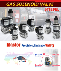 Lal1.25 lal2.25 lal2.65 lmg22.330b27 lmg21.330b27 lme11.330c2 lme11.330c2bt Bộ điều khiển đốt dầu - Product Image 4