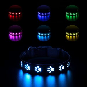 <span class=keywords><strong>Collar</strong></span> de perro con luz <span class=keywords><strong>LED</strong></span>, patrón sólido de lujo, cachorro intermitente, plomo <span class=keywords><strong>LED</strong></span> para perros pequeños, advertencia de seguridad para caminar de noche - Product Image 3