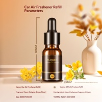 Recharge d'aromathérapie automobile 10 ml en verre, diffuseur de parfum désodorisant aux huiles essentielles végétales, parfum longue durée avec compte-gouttes
