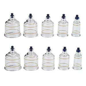 Tradisional obat Cina Hansol tunggal ABS + sebagai bahan antirematik CE bersertifikat vakum bekam 6 ukuran aplikasi tubuh - Product Image 1