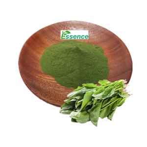 食品グレード天然マラバルほうれん草パウダー<span class=keywords><strong>Basella</strong></span> <span class=keywords><strong>Alba</strong></span>エキスパウダー - Product Image 4