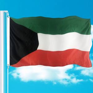 Быстрая доставка, открытый флаг, Национальный день, Кувейт, флаг 3x5 - Product Image 3