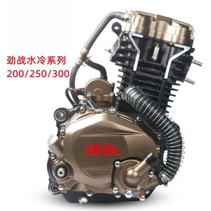 Moteur Zongshen Conqueror 300, moteur de moto refroidi par liquide, moteur de tricycle - Product Image 3