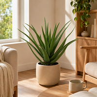 Künstliche Aloe Vera mit Echtem Aussehen, 70cm PE-Material, UV-Beständig, Umweltfreundlich, für Geburtstag, Landschaftsgestaltung, Ostern und Zuhause