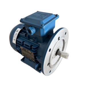 Moteur asynchrone triphasé antidéflagrant haute efficacité WEG W21 8P-480 KW-550V-50HZ Basse Tension CA à cage d'écureuil W21 Weg W21 - Product Image 6