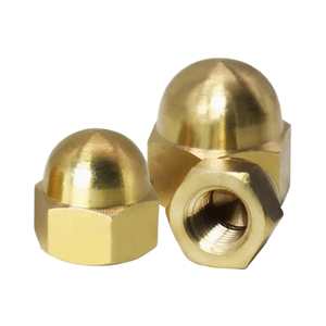 कारखाने प्रत्यक्ष बिक्री मुक्त नमूना पीतल टोपी के आकार के घरेलू सजावटी एकॉर्न हेक्सागोन नट टोपी-प्रकार नट M3-M10 - Product Image 4