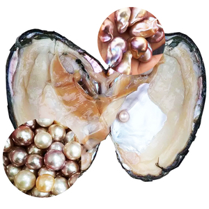 <span class=keywords><strong>Ostras</strong></span> <span class=keywords><strong>de</strong></span> <span class=keywords><strong>perlas</strong></span> <span class=keywords><strong>de</strong></span> monstruo pequeño <span class=keywords><strong>de</strong></span> agua salada Akoya chinas enlatadas con <span class=keywords><strong>perlas</strong></span> sueltas naturales - Product Image 1