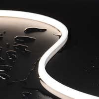 Bande lumineuse néon en silicone haute puissance 24V TW-N1010, flexible, avec gaine LED, étanche IP67, pour extérieur