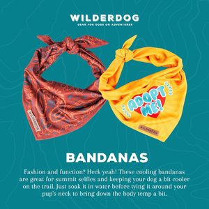 Bandana de perro Wilderdog con material de malla de mezcla de polietileno de secado rápido ligero en el campamento - Product Image 3