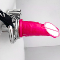 FRRK Cage de chasteté portable avec tête de godemichet, dispositif de chasteté urétrale inversée, plug pénien SM négatif, jouets sexuels de bondage pour adultes