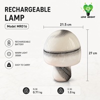 Lampe de table en verre en forme de champignon, rechargeable, DC, USB-C, 3CCT, à intensité variable tactile, sans fil, décorative, pour la décoration de la maison