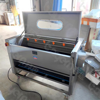 Maniokgroenten En Fruit Automatische Industriële Aardappel Gember Lotuswortel Papaja Zoete Aardappel Was-En Schilmachine