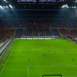 Gazon artificiel durable de 50mm de qualité <span class=keywords><strong>FIFA</strong></span> pour terrains de football écologique à faible entretien - Product Image 4