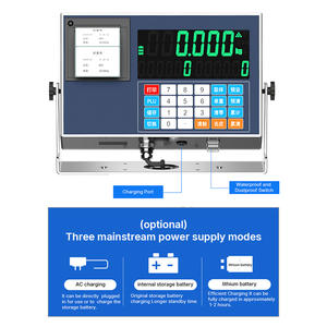 Edelstahl-LKW-Waage mit integriertem Drucker, 1g Genauigkeit, LED-Anzeige, OEM/ODM-Anpassung - Product Image 5