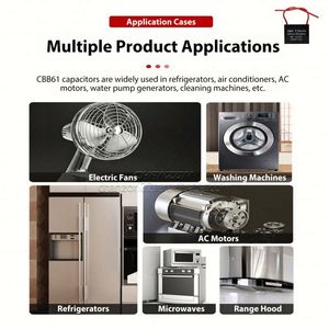 PZB300MC11R30 Paper <b>Capacitor</b> Through hole Component (THT) - Product Image 2