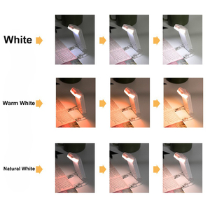 Mini lampe de lecture en silicone flexible réglable <span class=keywords><strong>avec</strong></span> pile bouton CR2032 pour la maison ou la chambre à coucher bon marché - Product Image 5