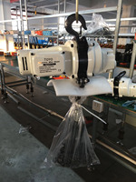 Usine de haute qualité à bas prix 250Kg 500Kg 1000Kg Mini Toyo Ty2 Ton Palan à chaîne électrique