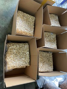 NUEZ DE ANACARDO W320 W240 WS LP SP LWP DW de Vietnam, Proveedor Principal de Granos de Anacardo (W.S 0084989322607 Linda Tran) - Product Image 6