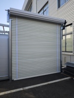 Portes de garage enroulables modernes en acier fini avec palan manuel, antivol, pour entrepôt - Vente en gros usine
