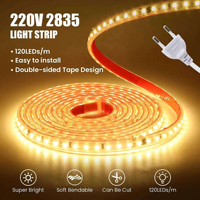 Bande lumineuse LED AC110V 220V SMD2835 60LEDs 120LEDs 240LEDs, taille 12mm*4mm, revêtement PVC, rouleau de 100m, 3000K 4000K 6000K, bande lumineuse 2835