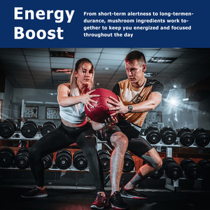Factory Wholesale Mushroom Coffee with Lion's Mane <b>Supplement</b> Support Immune Health and Support Cognitive Mushroom Coffee Powder - Product Image 4