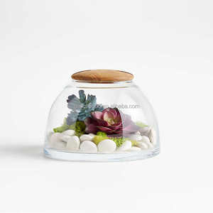 Das kuppel förmige Glaster rarium beherbergt Miniatur-Ökosysteme Pflanz vase Glaster rarium mit Holzdeckel - Product Image 4