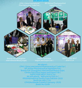 Huile de carotte naturelle OEM ODM, riche en nutriments, hydratante, pour la peau, les cheveux, l'aromathérapie, mélange - Product Image 4