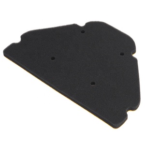 Filtre à Air de moto pour <span class=keywords><strong>Kawasaki</strong></span> 11013-1270 ZX900 <span class=keywords><strong>Ninja</strong></span> ZX-9R ZX <span class=keywords><strong>900</strong></span> 1998-2003 - Product Image 2