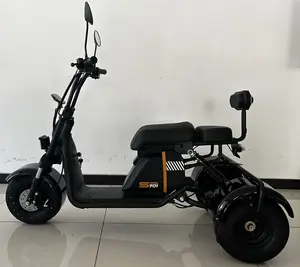 Nieuwste Mini 3 Wiel Kleine Scooter Citycoco Met 48v12ah 15ah Lithium Batterij Scooters Voor Volwassenen Of Kinderen