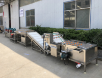Hoge Kwaliteit Groene Bladgroente En Fruit Wassen & Droge Machine Kerncomponenten Incl.
